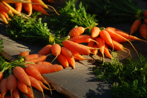 13-11 carrots